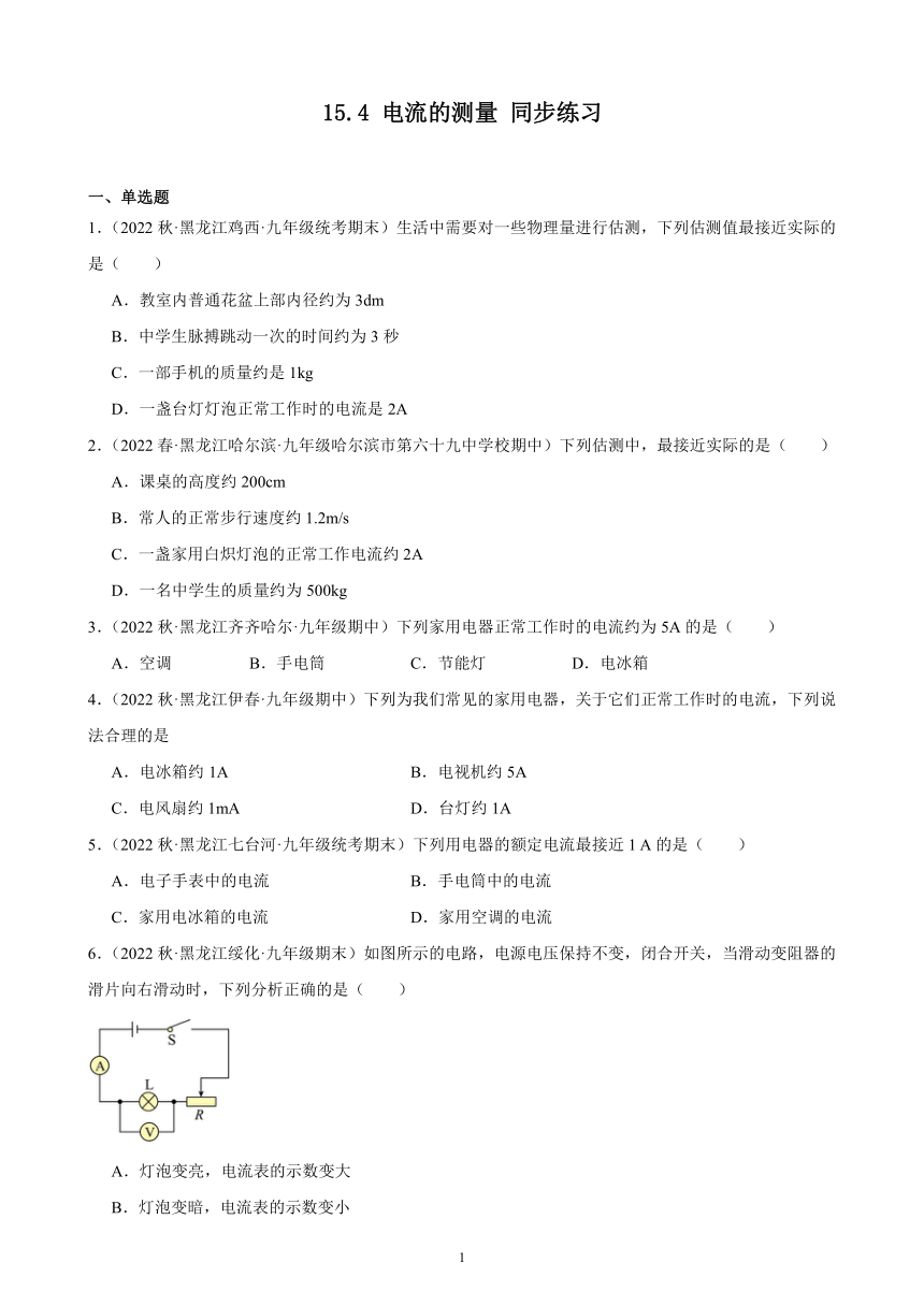 15.4 电流的测量 同步练习(含解析) 2022-2023学年上学期黑龙江省各地九年级物理期末试题选编