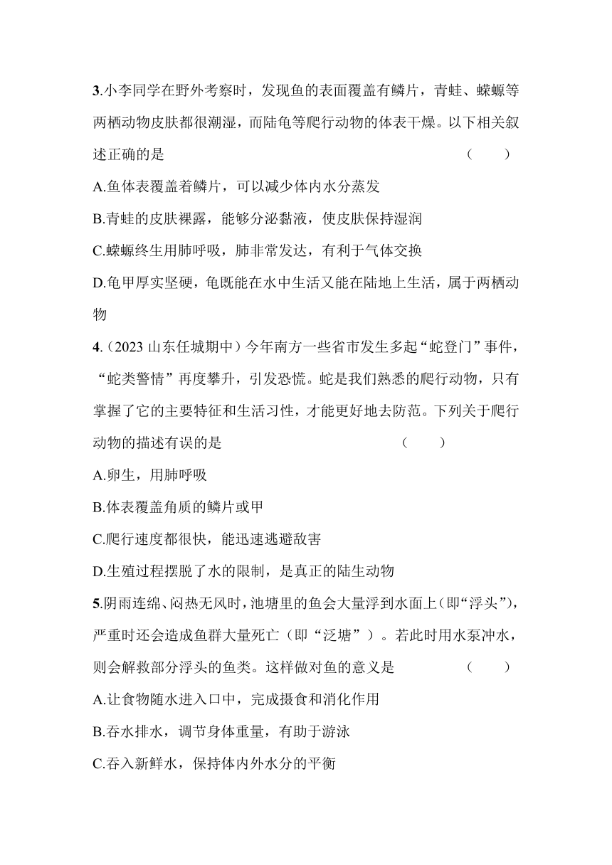 2.2.2　脊椎动物的主要类群素养提升练（含解析）山东省济南市济南版生物七年级上册