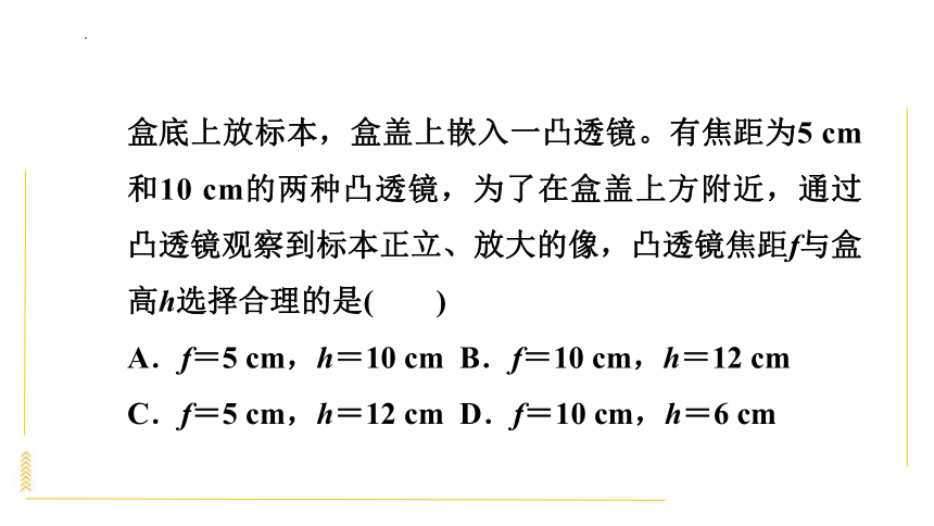 3.6探究凸透镜成像规律课时训练 习题课件(共34张PPT)  沪粤版物理八年级上学期
