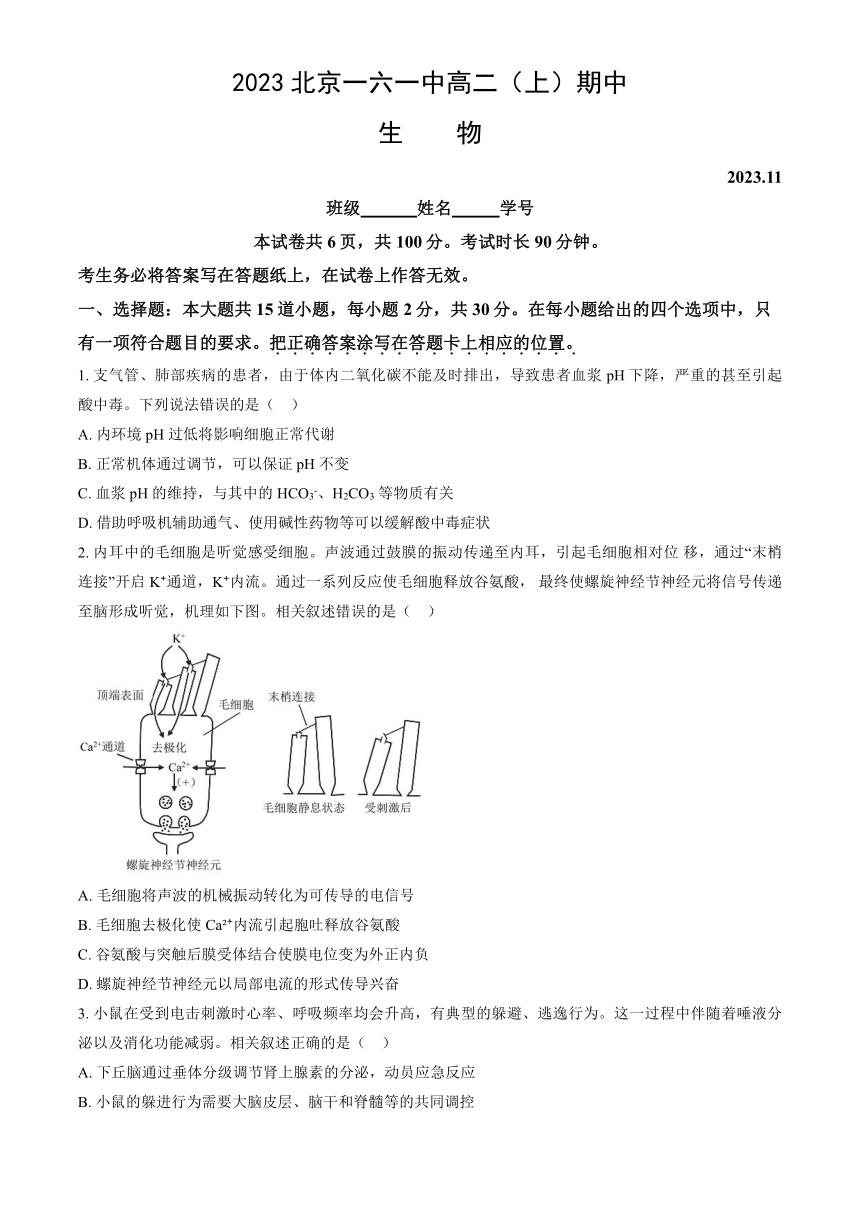 2023北京第一六一中高二（上）期中生物（解析版）