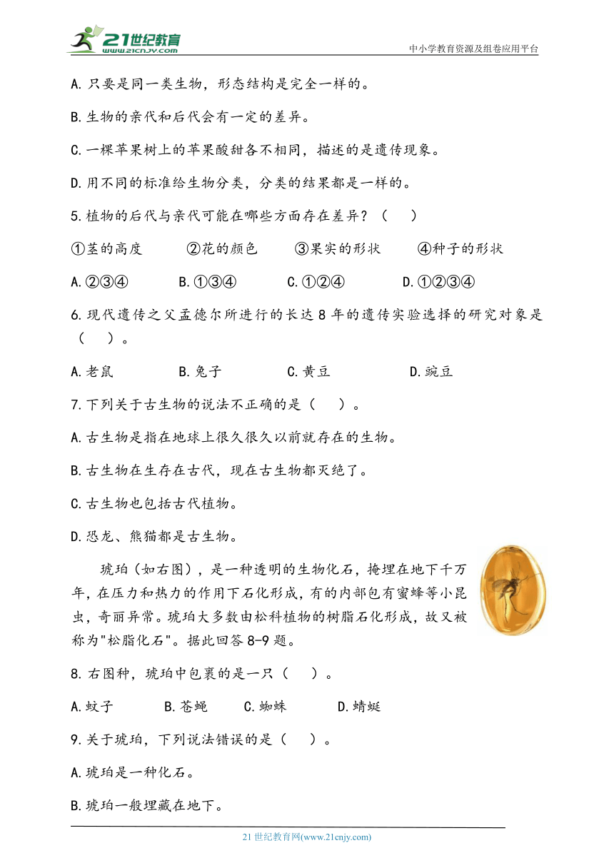 2023年秋人教鄂教版科学五年级上册第二单元 后代与亲代 检测卷（含答案）