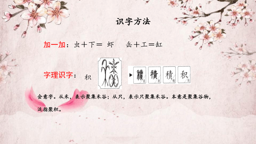 15小虾 课件(共23张PPT)