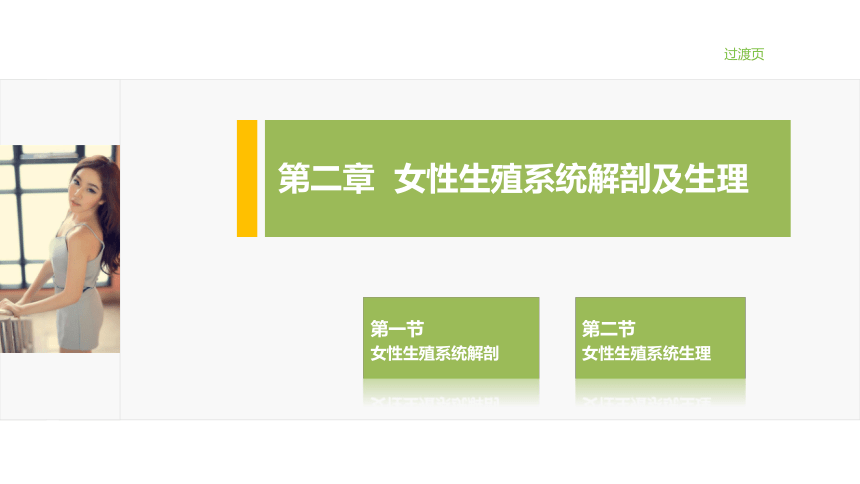 2.2女性生殖系统生理 课件(共14张PPT)-《妇产科护理》同步教学（江苏大学出版社）