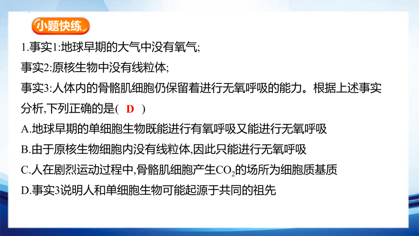 5.3.2 无氧呼吸及细胞呼吸原理的应用(共25张PPT)-高一生物课件（人教版2019必修1）