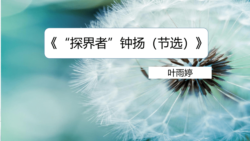 4.3《“探界者”钟扬》课件(共30张PPT)2023-2024学年统编版高中语文必修上册