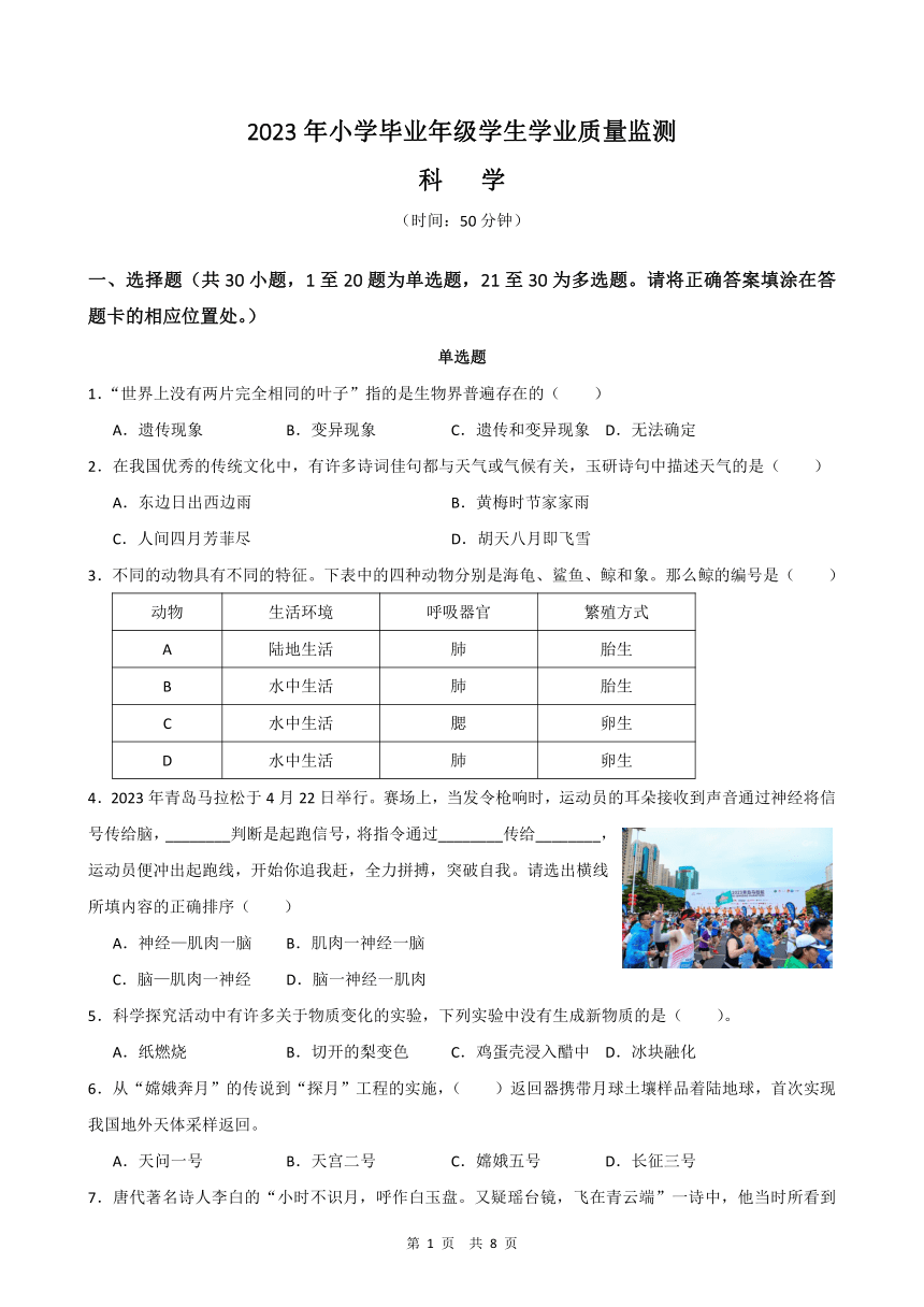 2023年山东省青岛市小升初学业质量监测科学试题（含答案）