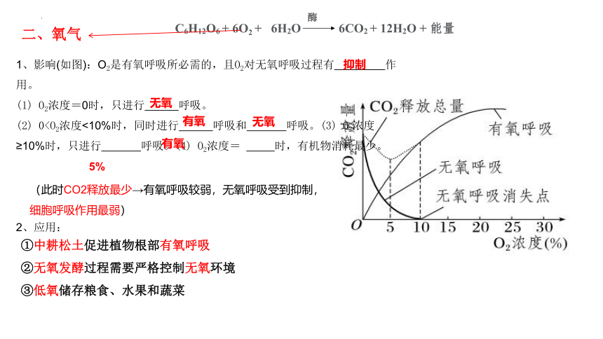 5.3细胞呼吸的原理和应用（第3课时）课件(共13张PPT) 人教版必修1