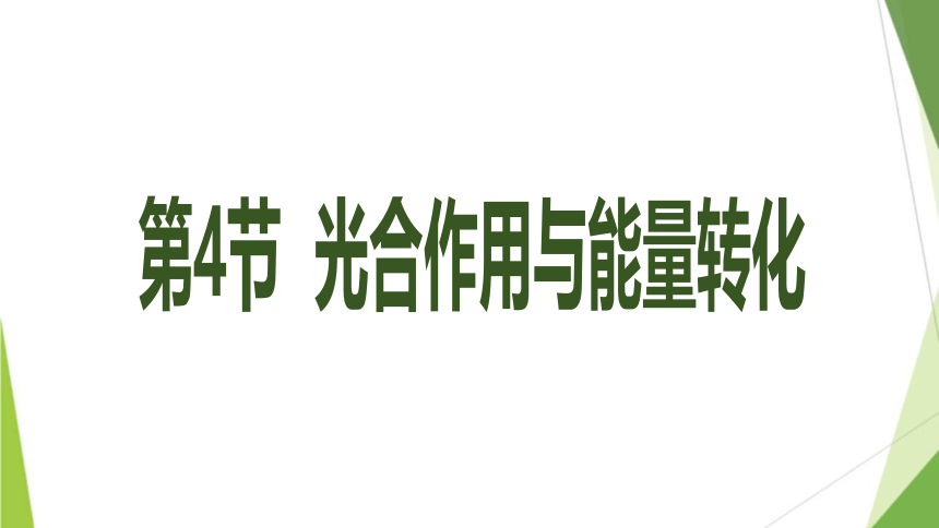 5.4 光合作用与能量转化课件(共51张PPT)2023-2024学年高一上学期生物人教版必修1