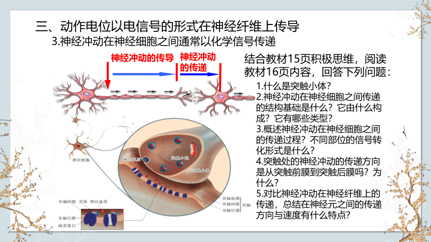 1.1 神经调节（第3课时）(共17张PPT)-2023-2024学年高二生物上册(苏教版2019选择性必修1)