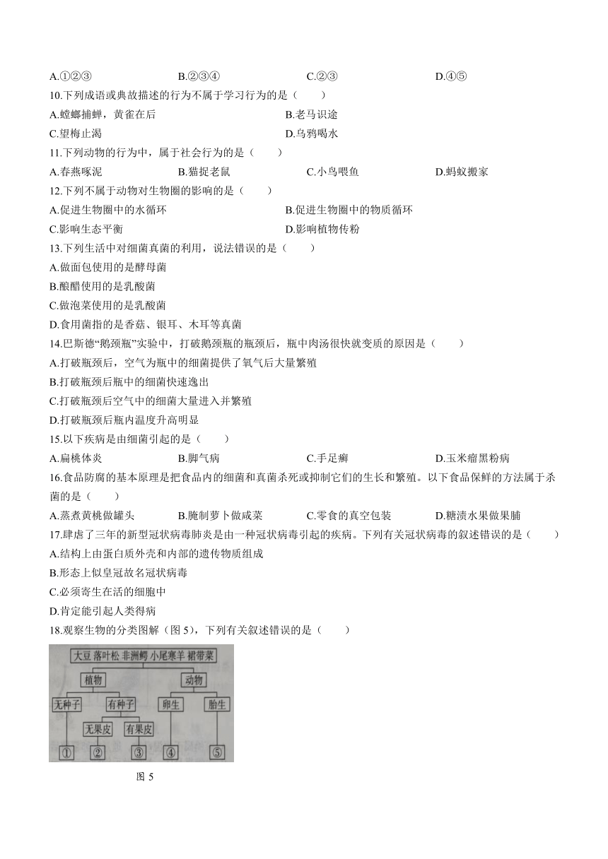 河北省沧州市部分学校2023-2024学年八年级上学期12月月考生物试题（含答案）