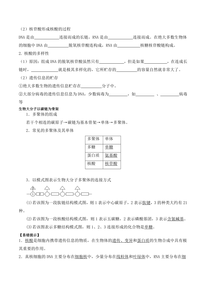 2.5核酸是遗传信息的携带者学案（含答案）