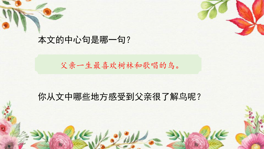 23.《父亲、树林和鸟》课件(共21张PPT)