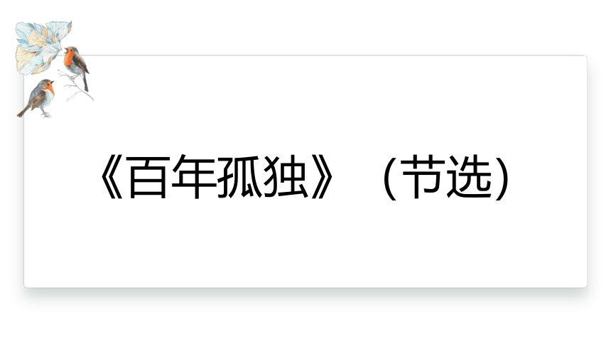 11《百年孤独》（节选） 课件(共13张PPT) 2023-2024学年高二语文统编版选择性必修上册