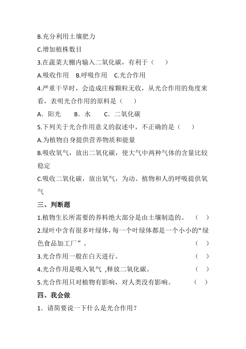 2023-2024学年科学五年级下册（青岛版）第18课 光合作用 同步分层作业（含答案）