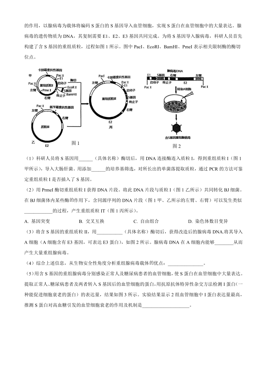 上海市上交附高2023-2024学年高三上学期开学摸底考试生物学试题（原卷版）