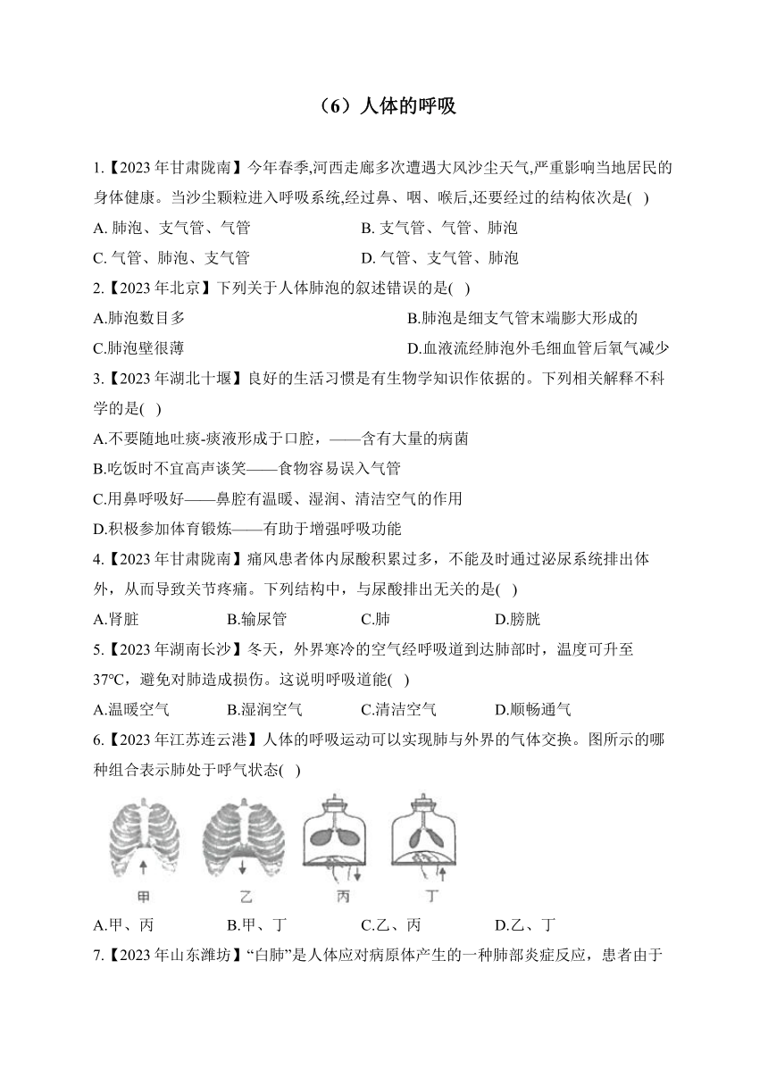 （6）人体的呼吸——2023年中考生物真题专项汇编（含答案）