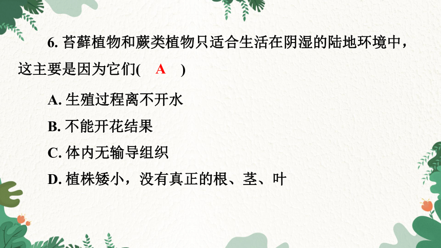 3.1.1 藻类、苔藓和蕨类植物习题课件(共21张PPT)人教版生物七年级上册