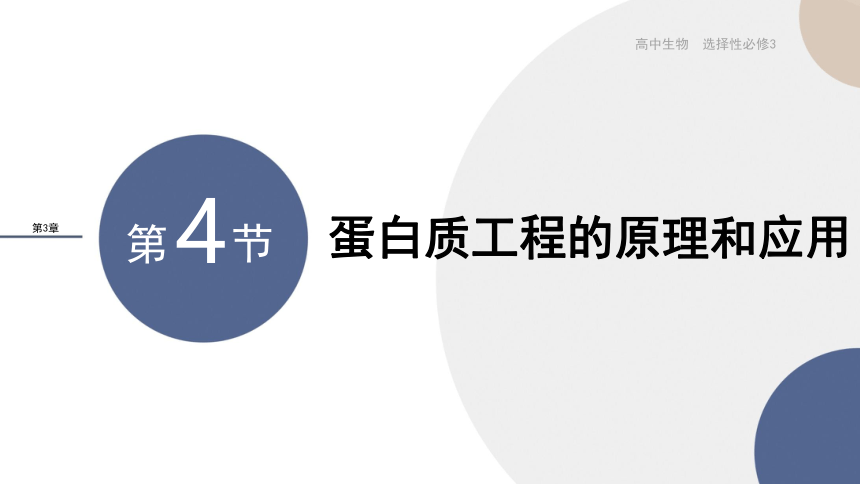 3.4蛋白质工程的原理和应用新教材课件(共24张PPT)-2022-2023学年高二下学期生物人教版（2019）选择性必修3