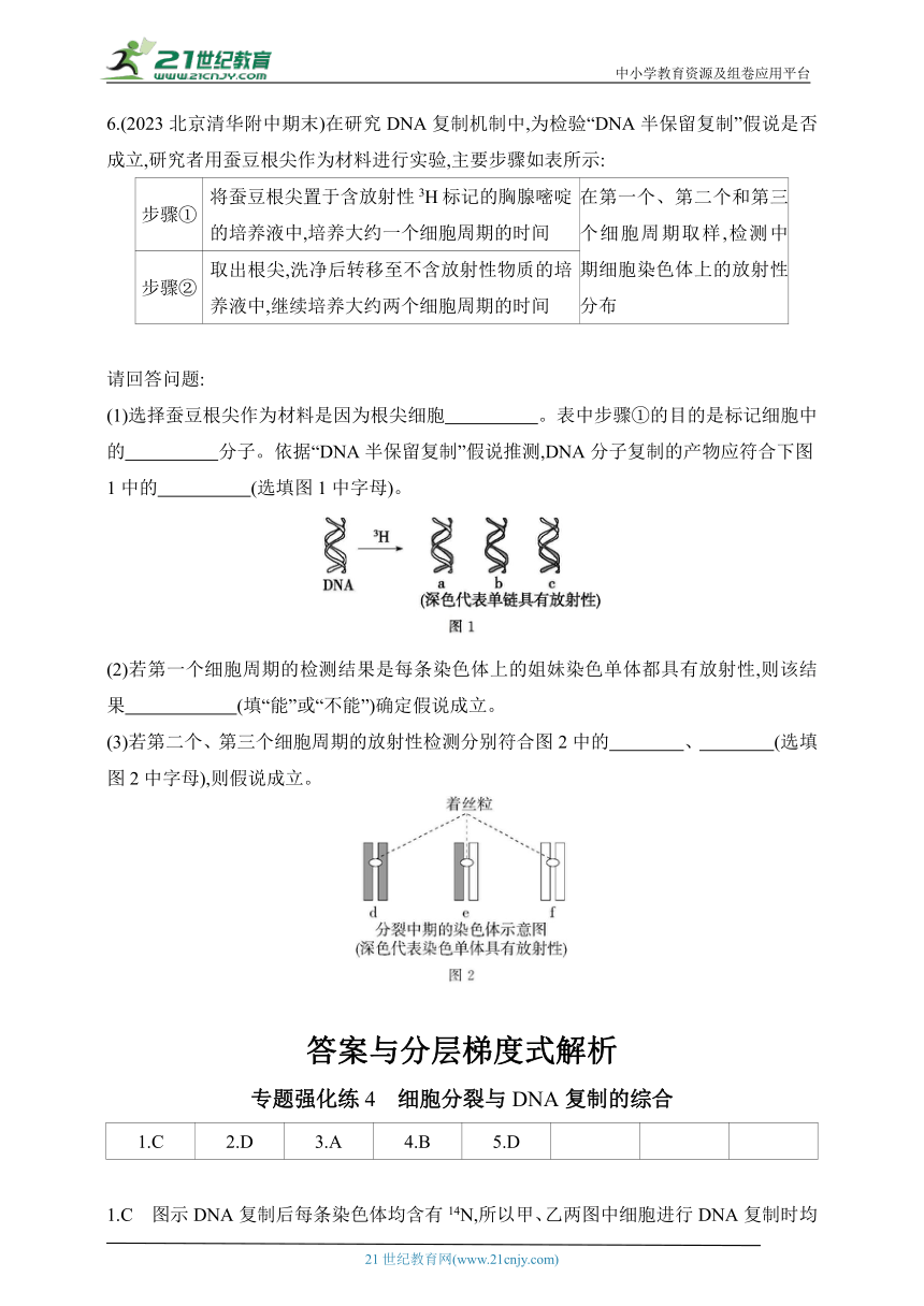 人教版2019高中生物必修二  同步练习题--专题强化练4　细胞分裂与DNA复制的综合（含解析）