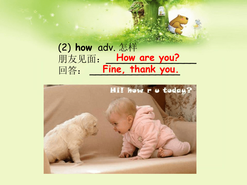 新概念英语第一册 Lesson 9-10 课件 (共31张PPT)