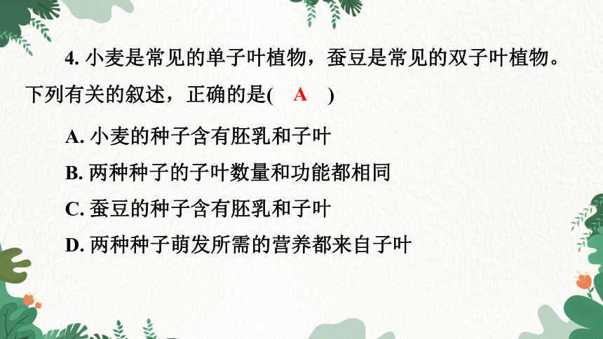 3.1.2种子植物习题课件(共26张PPT)人教版生物七年级上册