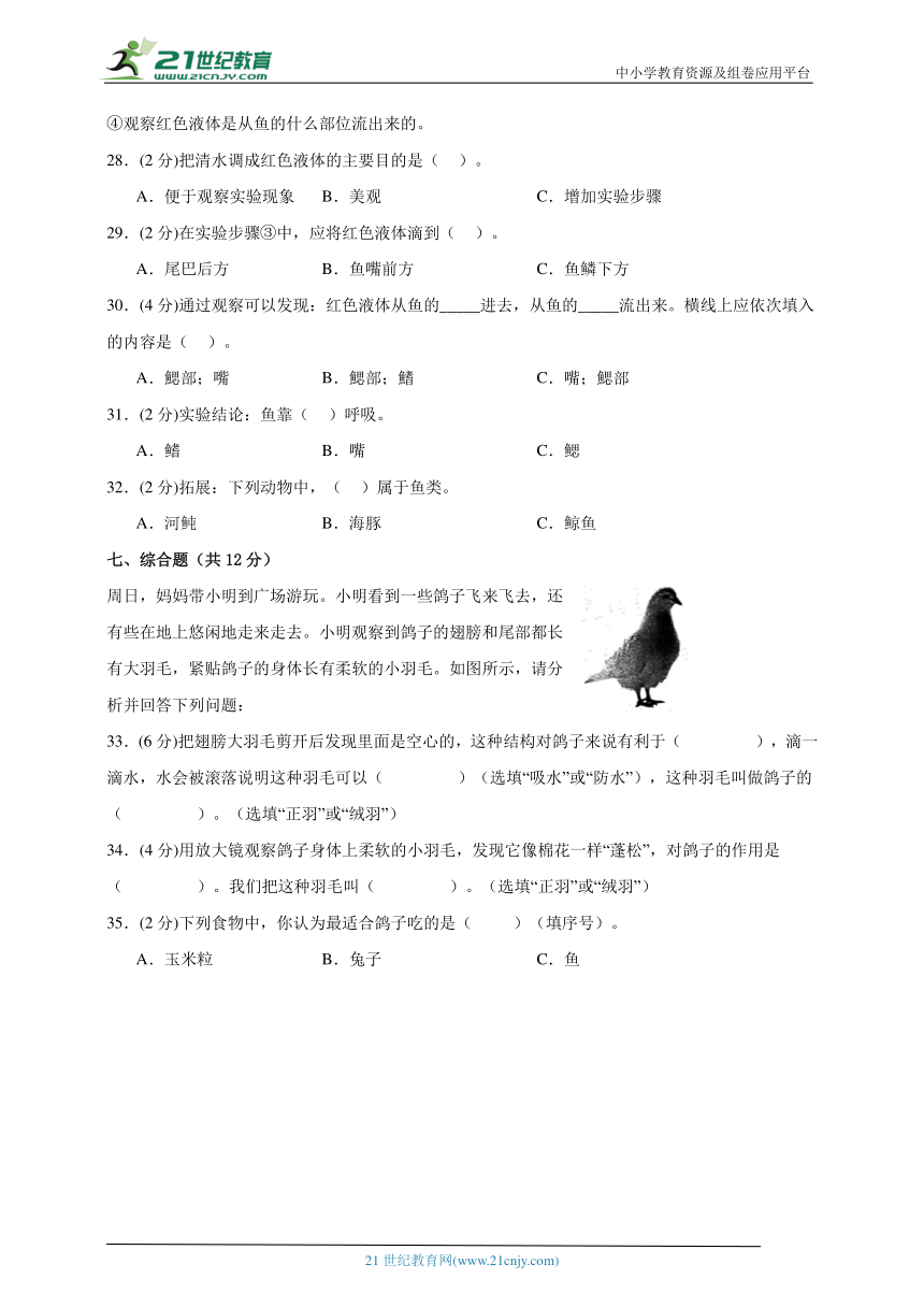 四年级上册科学（苏教版）第一单元《动物大家族》期末复习必刷卷（含答案）