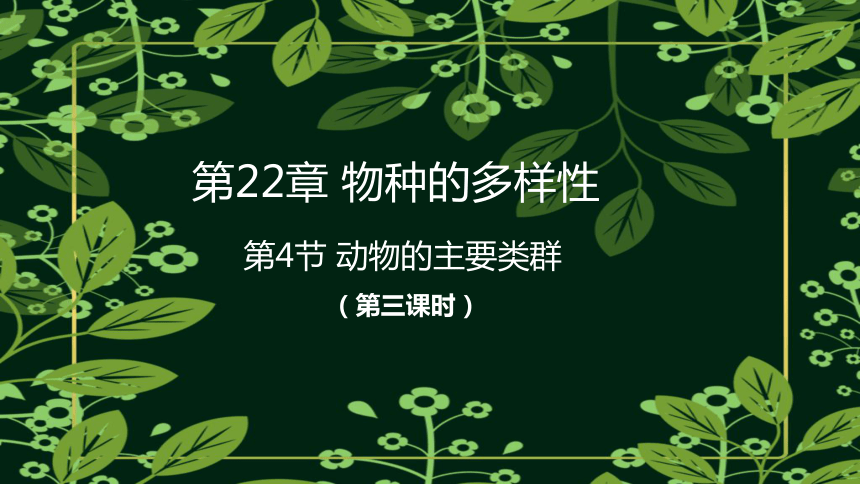 7.22.4 动物的主要类群（第三课时）课件 （共31张PPT）北师大版生物八年级下册