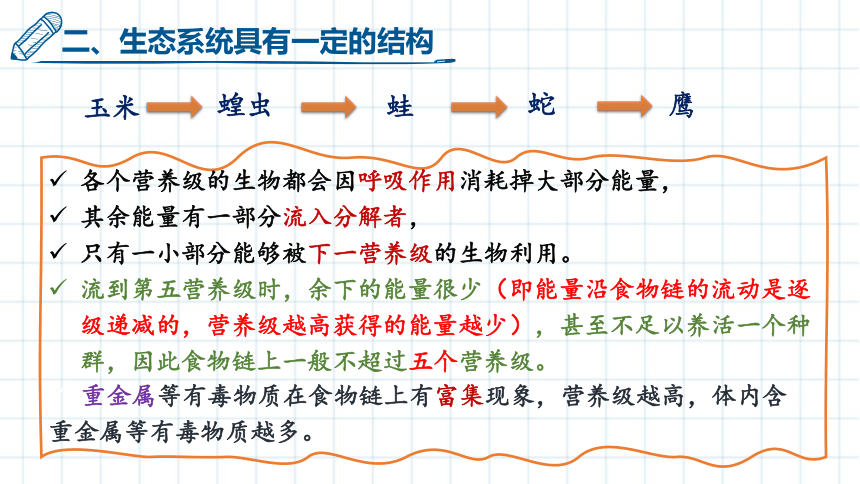 3.1生态系统的结构（第二课时）课件(共26张PPT)-人教版（2019）选择性必修2