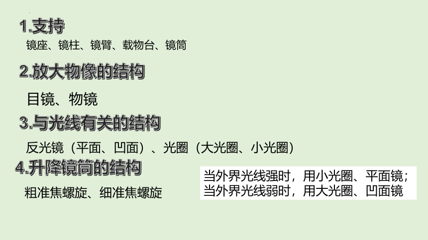 2.1.1练习使用显微镜课件(共14张PPT)2023年秋人教版生物七年级上册