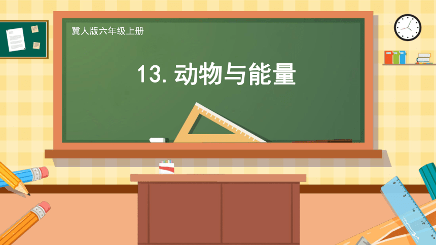 （冀人版）六年级科学上册第13课 动物与能量（教学课件）(共27张PPT+视频)