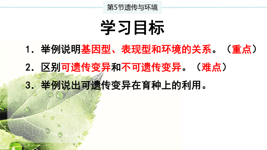 20.5 遗传与环境  2023-2024学年八年级生物上册同步精品教学课件（北师大版）(共20张PPT)