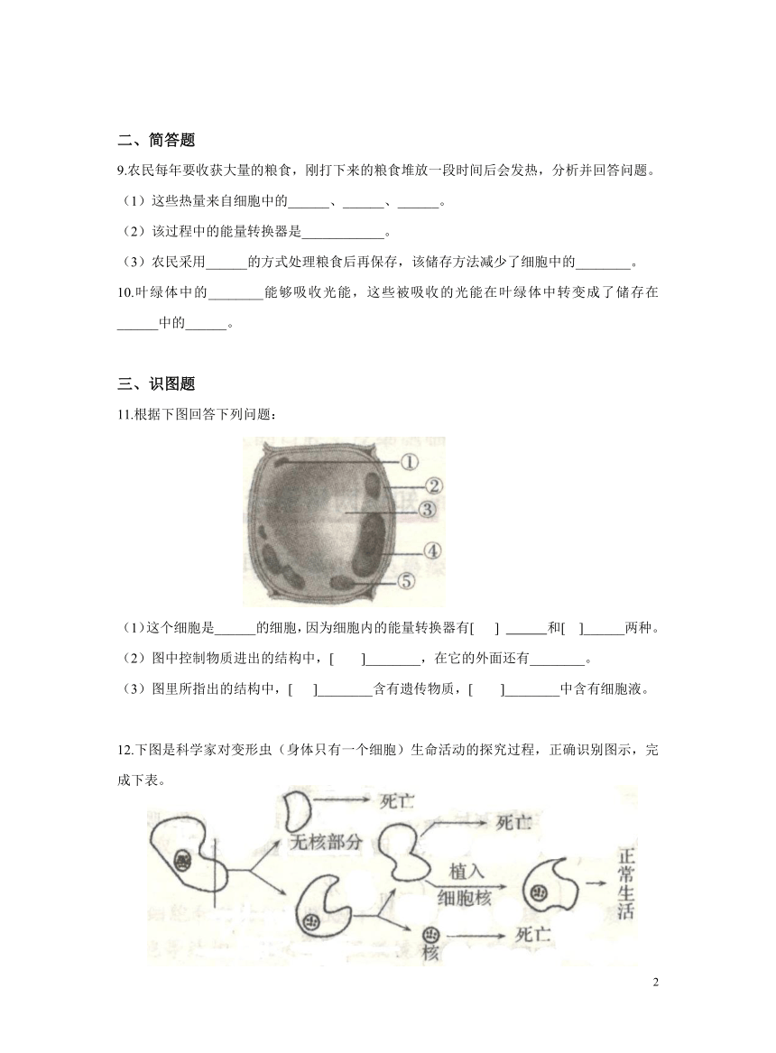 2.1.4细胞的生活同步练习（含答案）初中生物人教版七年级上册