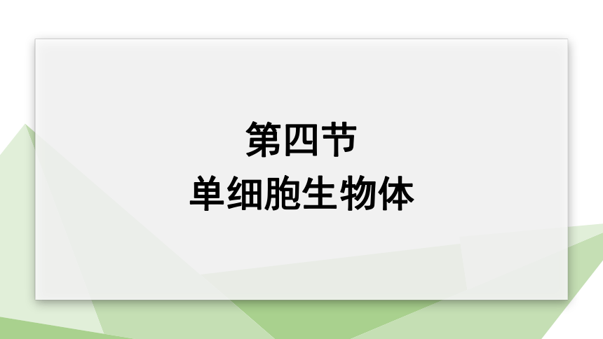 1.2.4 单细胞生物体 课件（共27张PPT+内嵌视频1个） 2023-2024学年初中生物冀少版七年级上册