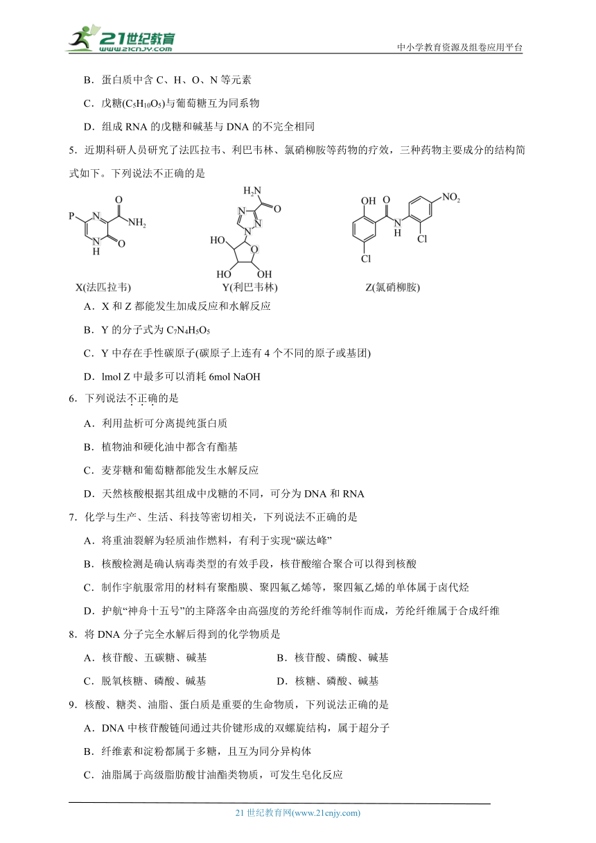 人教版 高中化学 选择性必修3 4.3核酸同步练习（含答案）