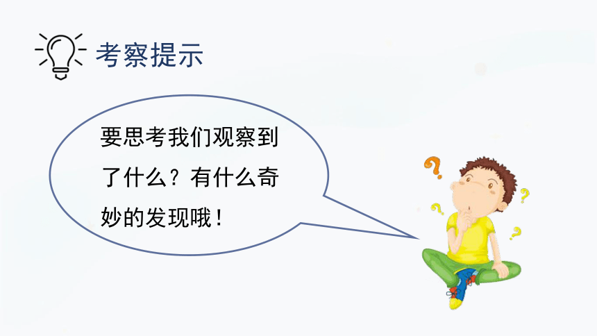 2.2 考察大自然 从校园开始 课件(共32张PPT)