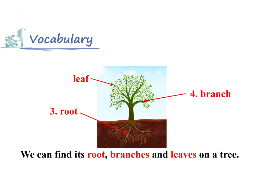 Unit 4 Save the trees vocabulary词汇课课件(共26张PPT)