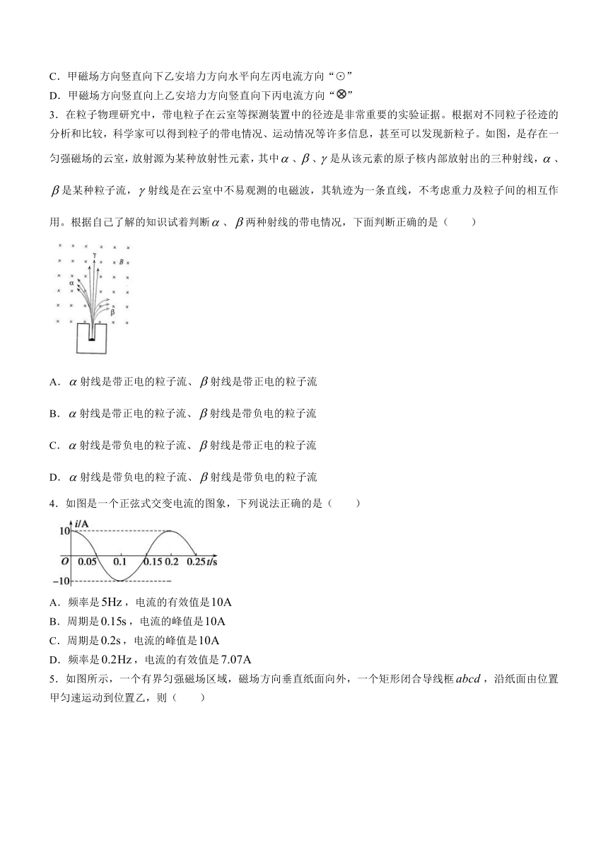 河北省沧州市肃宁县2023-2024学年高二上学期第二次月考物理试题(无答案)