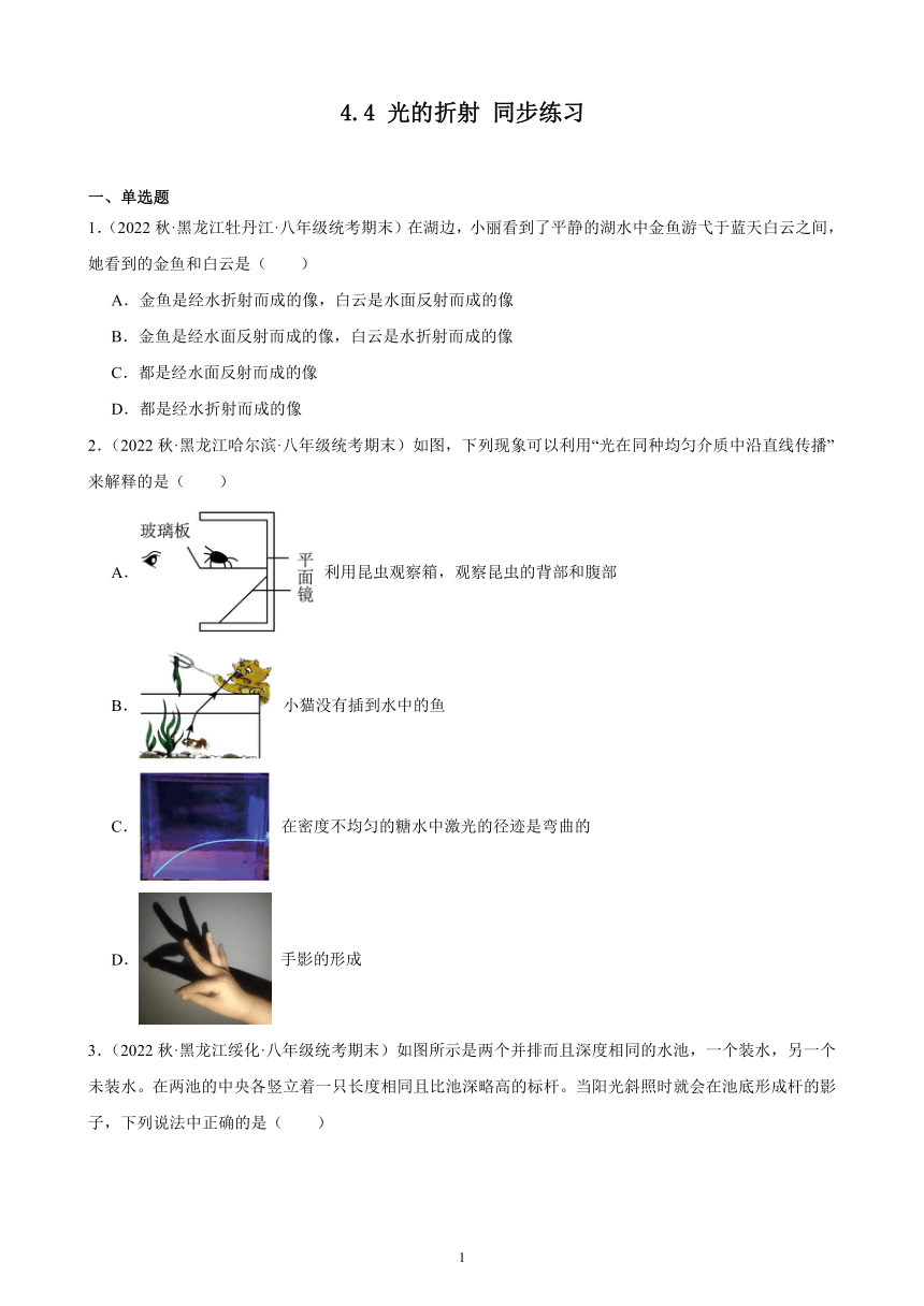 4.4 光的折射 同步练习（含解析） 2022-2023学年上学期黑龙江省各地八年级物理期末试题选编