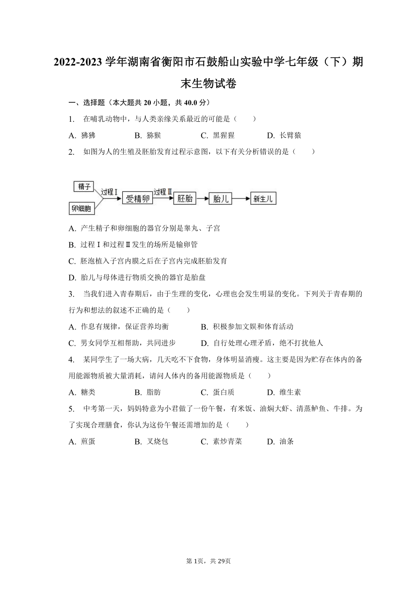 2022-2023学年湖南省衡阳市石鼓船山实验中学七年级（下）期末生物试卷（含解析）