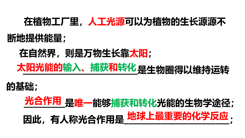 5.4 .1光合作用与能量转化课件(共28张PPT)  2022—2023学年高一上学期生物人教版必修1