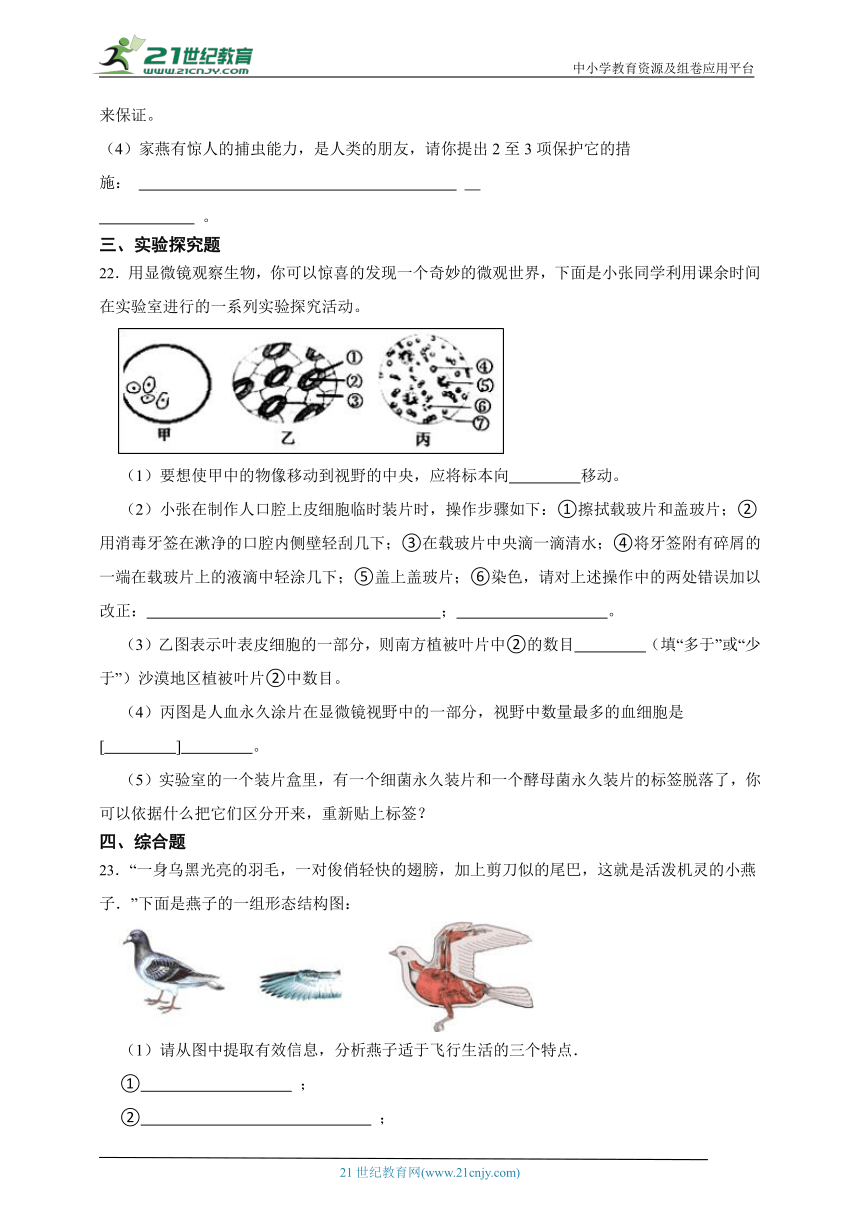 人教八上第五单元生物圈中的其他生物培优卷（含解析）