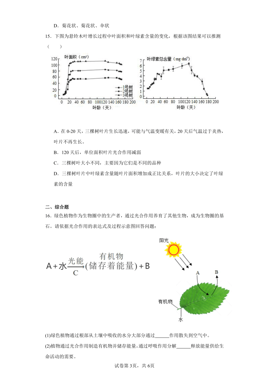 2023-2024学年初中生物苏教版七年级上册期末测试模拟卷（答案+解析）