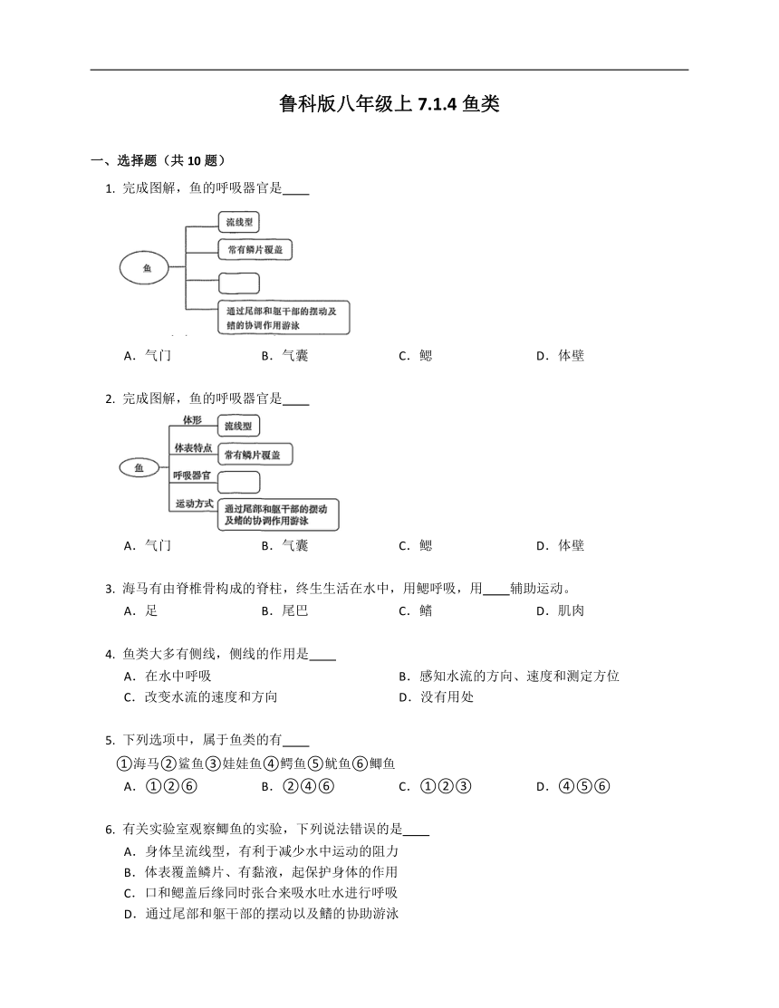 鲁科版八年级上7.1.4鱼类 试卷