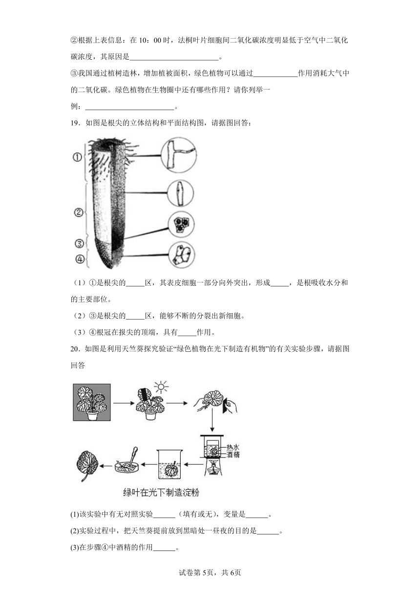 2023-2024学年初中生物苏教版七年级上册期末测试模拟卷（答案+解析）