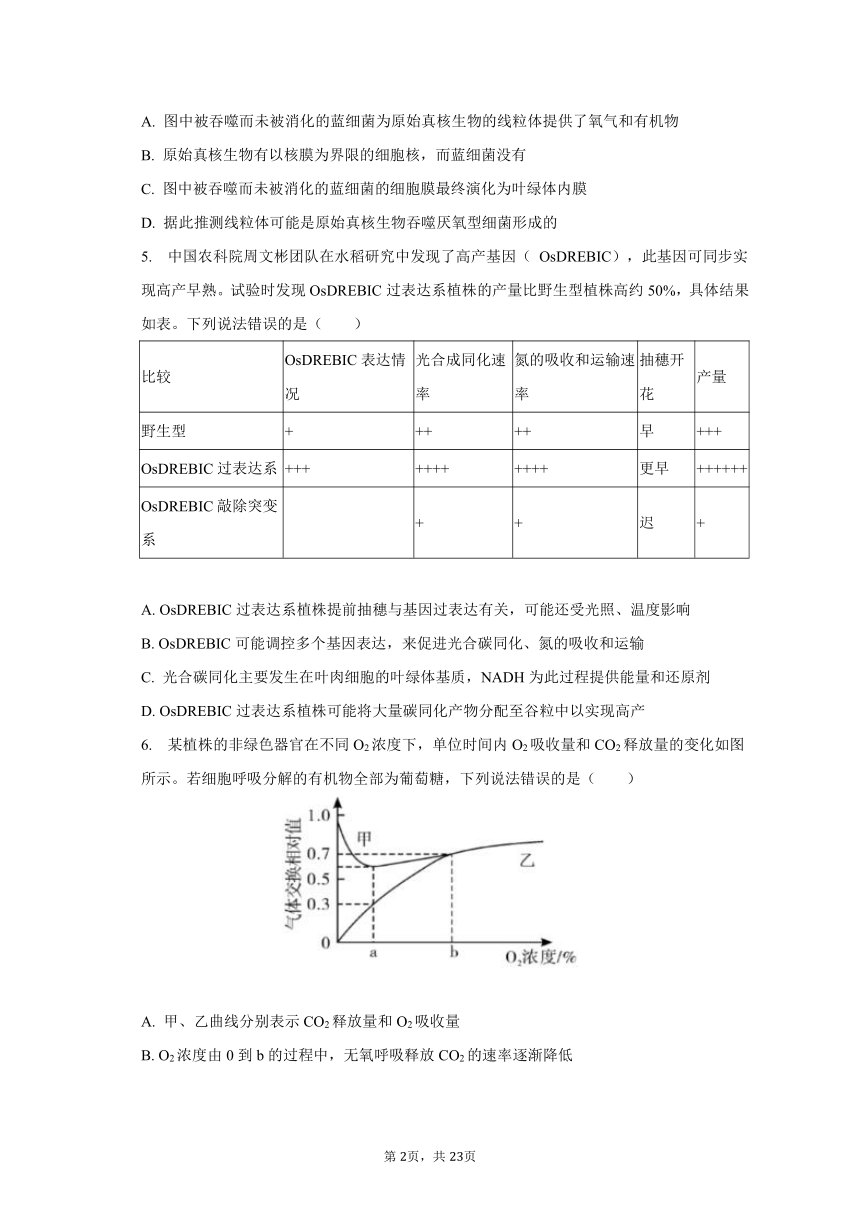 2023-2024学年湖北省宜荆荆恩高三（上）开学生物试卷（9月份）（含解析）