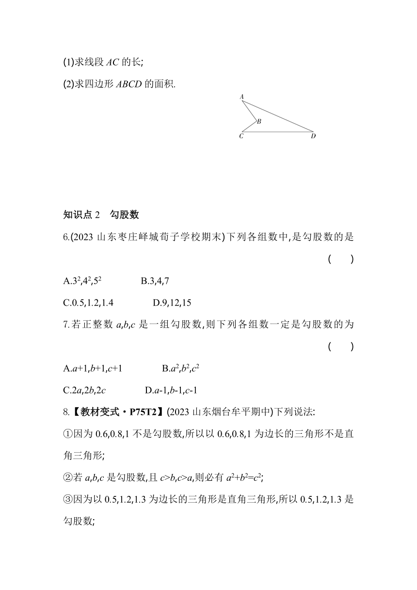 鲁教版数学七年级上册3.2一定是直角三角形吗 素养提升练（含解析）