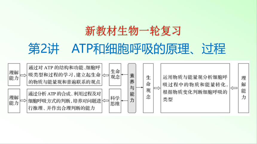 新教材生物一轮复习课件：第3单元 细胞的能量供应和利用 第2讲　ATP和细胞呼吸的原理、过程(共69张PPT)