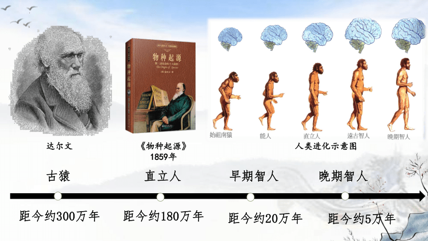 第1课 中国境内早期人类的代表—北京人 课件（20张PPT）