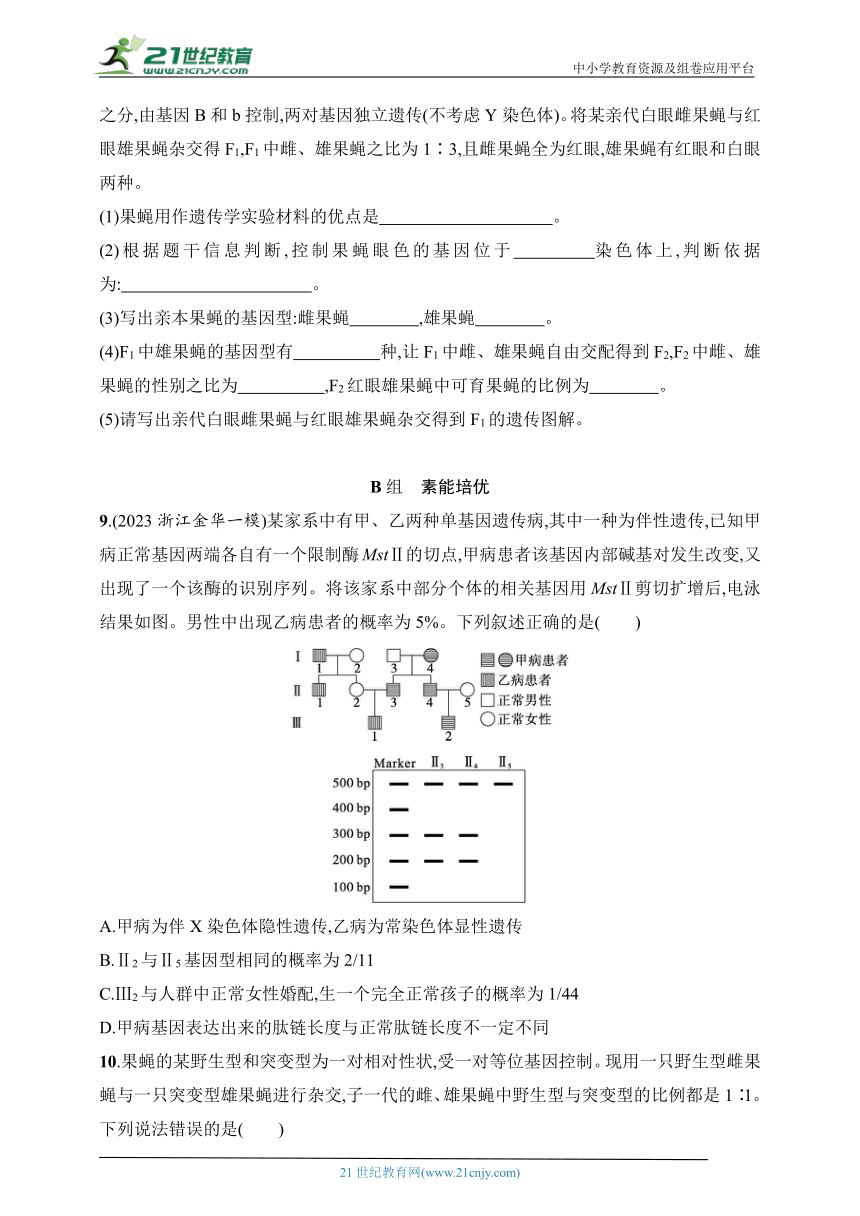 2025浙科版新教材生物学高考第一轮基础练--作业26　性染色体与伴性遗传（含解析）