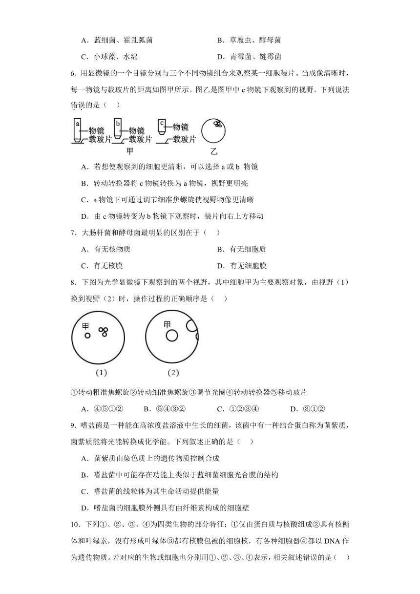 1.2细胞的多样性和统一性检测练习（有答案）2023-2024学年高一上学期生物人教版必修1